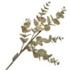 25" PLATINUM EUCALYPTUS SPRAY