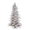 FLOCKED BALSAM PINE TREE