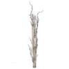 28" FROSTED WINTER BIRCH BUNDLE