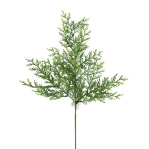 24" LAWSON CYPRESS SPRAY