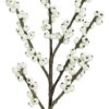 14" WHITE ILEX BERRY PICK