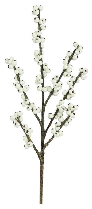 14" WHITE ILEX BERRY PICK