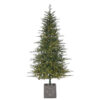 POTTED FIELDSTONE SPRUCE TREE