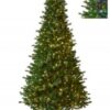 7.5'x52"D PROPSECT PINE TREE