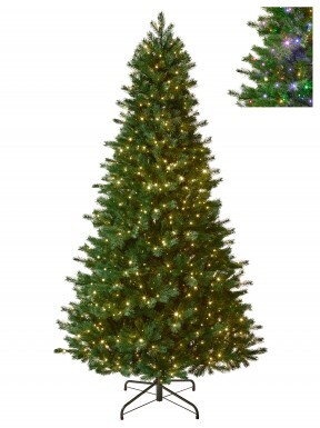 Prospect Pine Tree (Medium-Full)