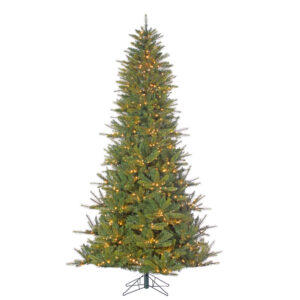 4.5'x31"D MOUNTAIN PINE TREE
