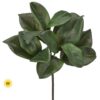 16" UV GREEN MAGNOLIA LEAF PICK