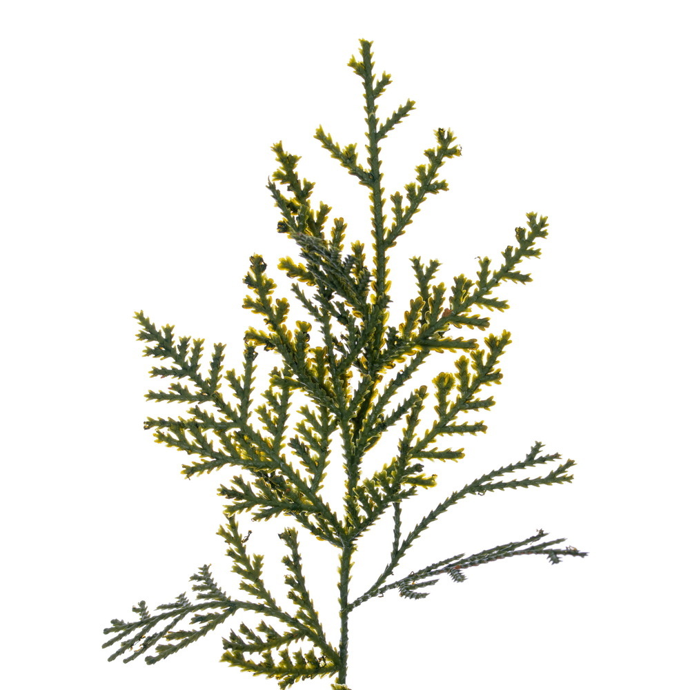 RH260348UV_CU_1000 Cedar potted artificial tree UV rated
